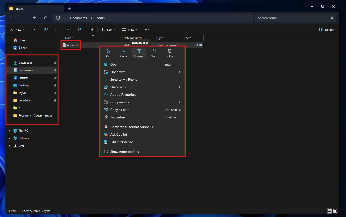 Explorateur de fichiers Windows 11 avec menu clic droit et option Renommer